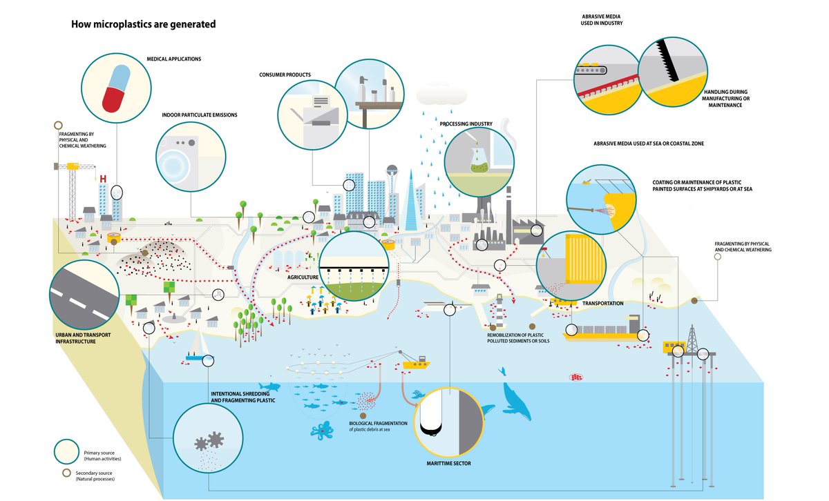 Audreyy_Co's tweet photo. "Microplastics have found their way into our drinking water, food supply and even the air. The widespreadness of this issue indicates the severity of plastic pollution as a whole. All plastic items that end up in the ocean will degrade into microplastics over time" #39CSustain https://t.co/uthT34oUwm