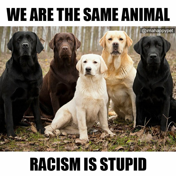 #OneWorld
#OneLove
#WeAreOne
#WeAllBleedTheSame
#YourLifeMatters
📷: <a href="/imahappypet/">The Happy Pets</a>