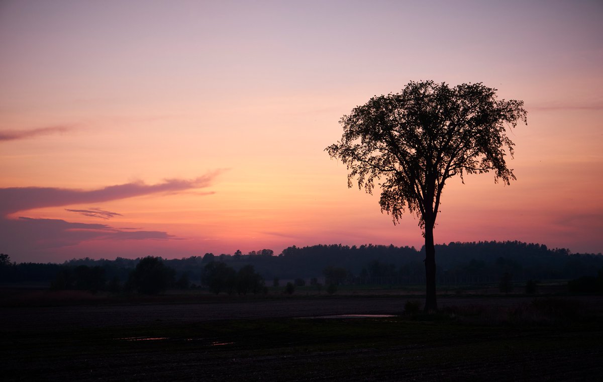 Christopher Bailey tweet media