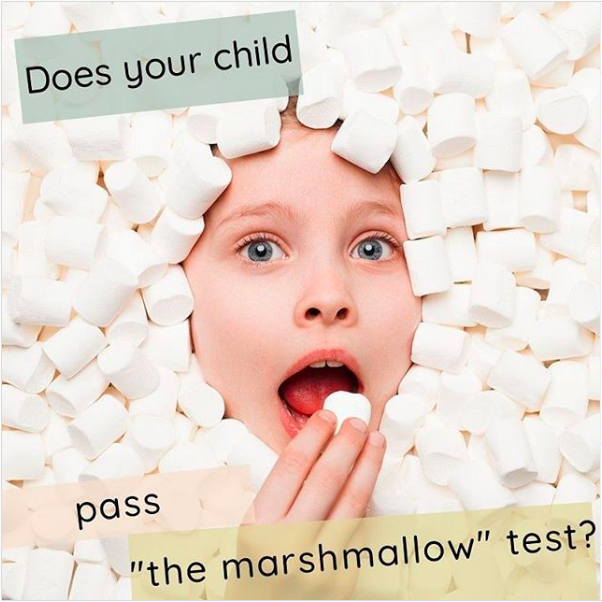 Pennygem tweet media