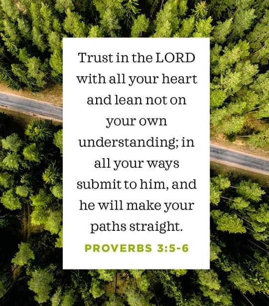 AMANDAL07242216's tweet photo. 🙏🙏🙏AMEN! 

#aspiringmodel #Weloveyourgenes #wlyg #imgmodelscout #willyscouts #like4likes #makememajor #l4l  #likesforlikesback #nextmodels  #scoutme #explore #selfies #chilegram #newfaces #omgscouting  #petitemodel #fordmodelscout #newfaze #scoutmeboss #followme https://t.co/iDWiUWhTBq