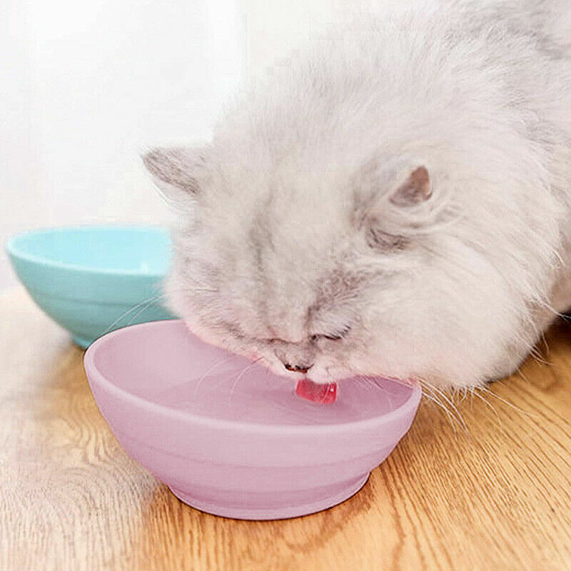 petsstore2's tweet image. Pet Slanted Cat Food Bowl Cute Tilt Cat Bowl Anti-Skid No Spill Cat Dish      ift.tt/2Av35nR