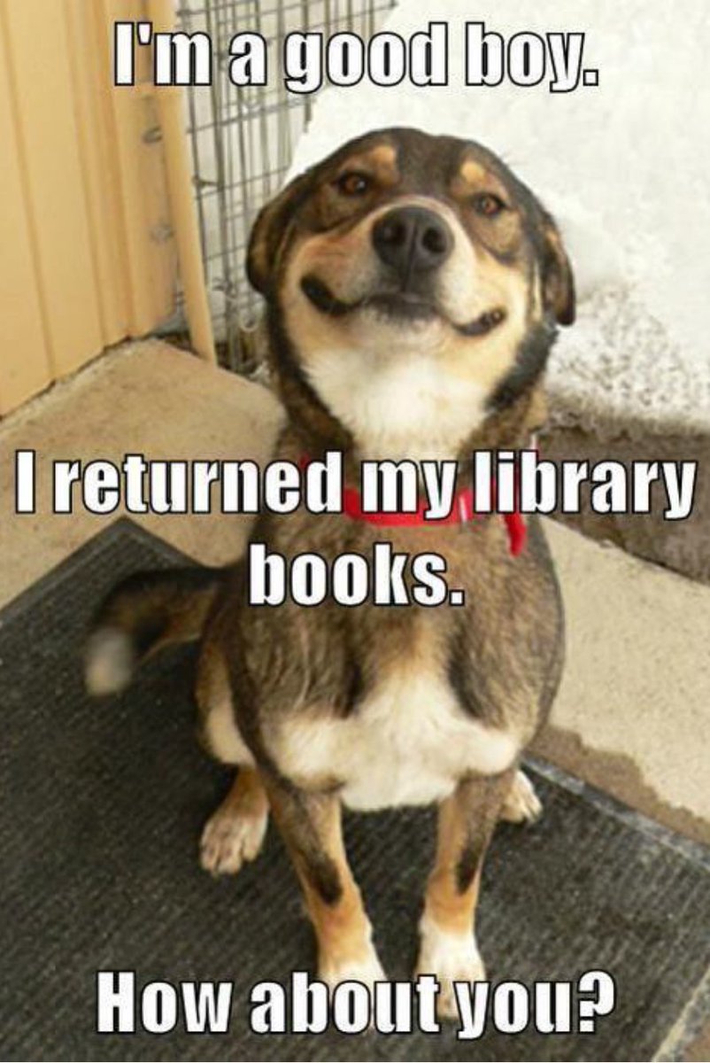 NISD Burke Library tweet media