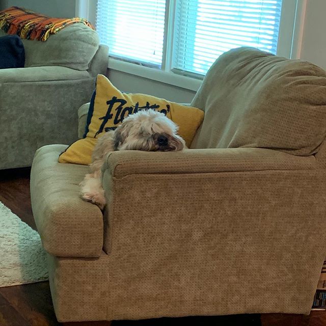 wheatienamedted's tweet photo. a_wheatie_named_teddy

https://t.co/MYUNhM9KZ6 https://t.co/W2EdKFG2EX