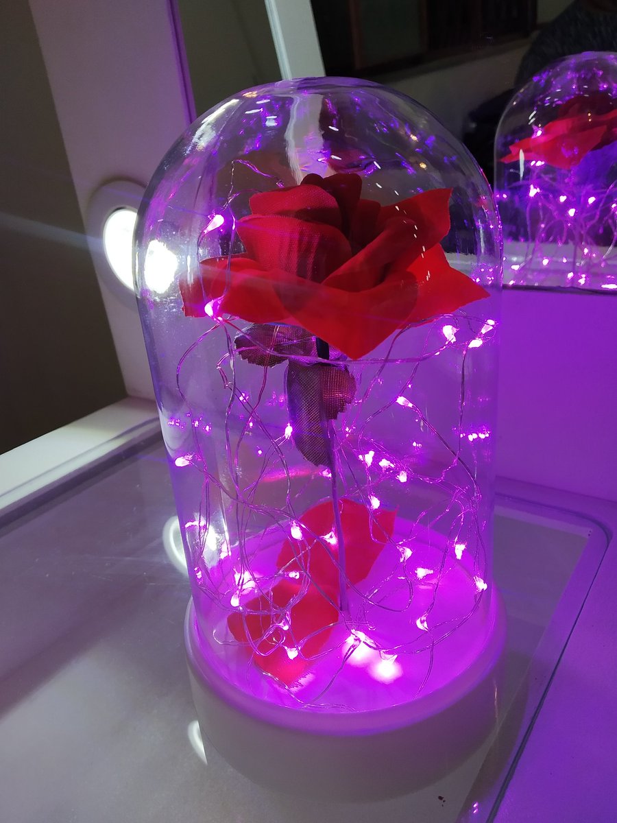 larifromvenus's tweet photo. Gente estou começando um trampo de vender a rosa da Bela e a Fera, é um ótimo presente para estar dando para pessoa amada nesse dia dos namorados, o valor é 60 reais! quem puder estar dando rt eu agradeceria ❤️💕 https://t.co/OdxS9NcneU