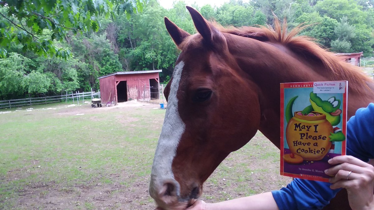 ReadwithRusty's tweet photo. Today Rusty reads May I Please Have a Cookie? by Jennifer E. Morris. What are you reading?

Editor's note: Please replace cookie with peppermint. Thank you! -Rusty

Comment with your book, and watch Rusty get a treat from you!

#cookie #horse #reading #manners https://t.co/FoszKJibnx
