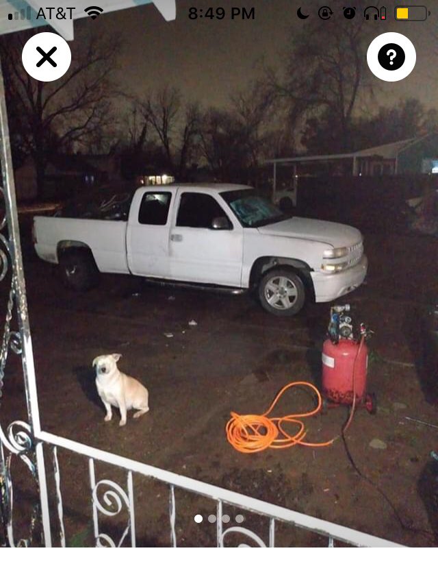 My new absolutely favorite thing is dogs photo bombing trucks for sale on Facebook marketplace lol