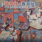 main image of this resource