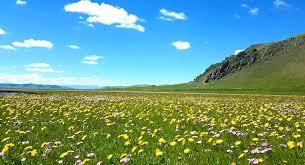 Зургадугаар сард цаг агаар ямар байх вэ
info.mn/news/98166.htm