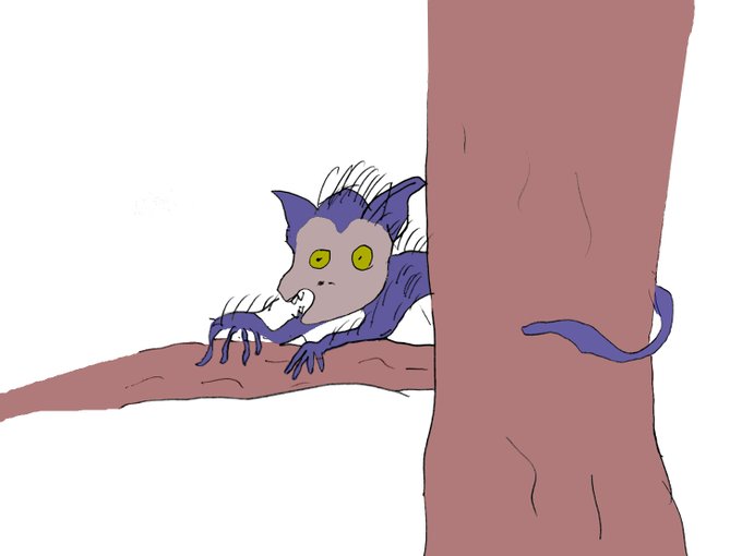 アイアイのtwitterイラスト検索結果 古い順 アイアイのtwitterイラスト検索結果 古い順