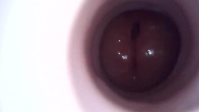 Brand new video up on PornhubModels! https://t.co/RncASGLZhV https://t.co/X3x826KwuF