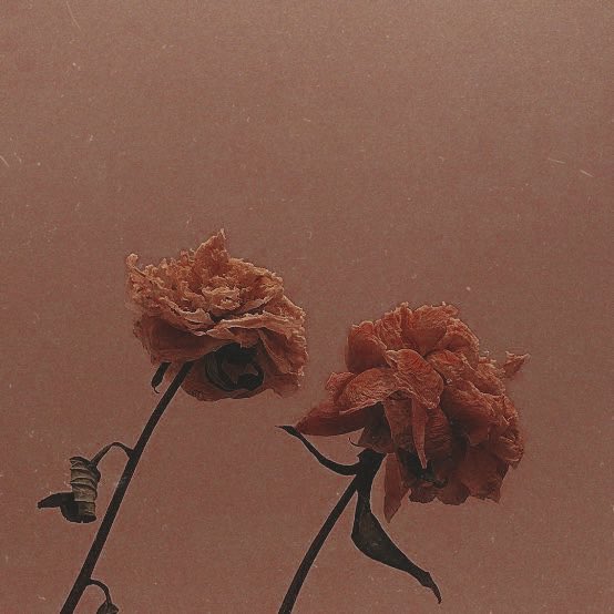 shadowsbroke's tweet image. 𝐀𝐋𝐈𝐂𝐄 𝐋𝐎𝐍𝐆𝐁𝐎𝐓𝐓𝐎𝐌 𝐈𝐈.
——————
           the herbology professor’s daughter, next gen hufflepuff student at hogwarts school of witchcraft and wizardry.