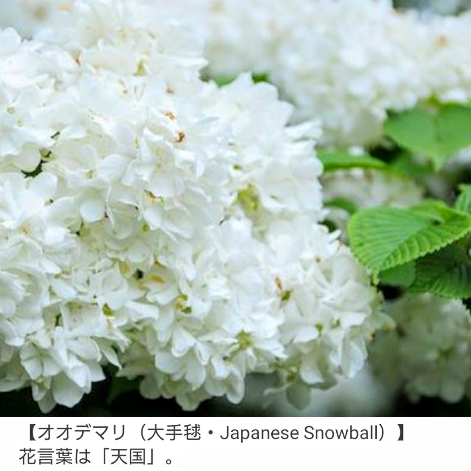 ワッタン Monamisuzu Life T Co Rthhjk4du7 Twitter