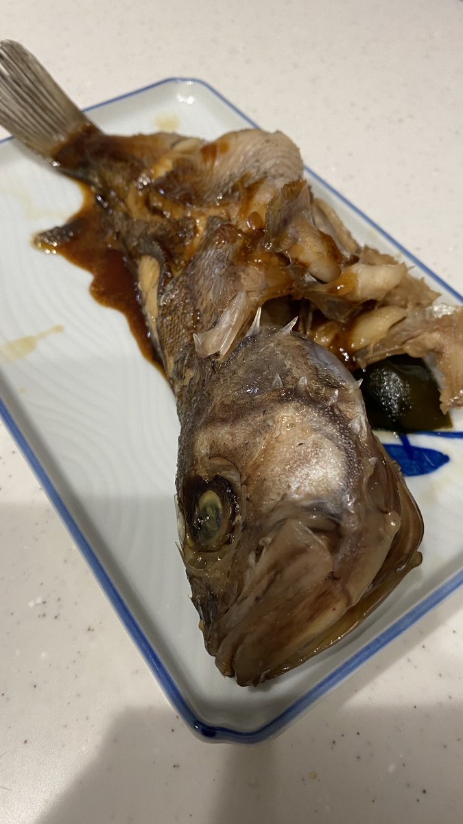 タヌキメバル タヌキメバル