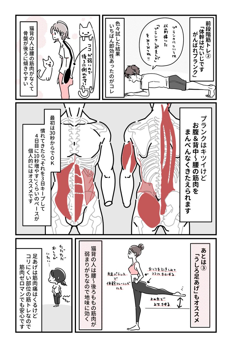 いしかわひろこ 健康イラスト マンガ家 猫背によるコリ 不調にお悩みの方へ 筋肉ゼロの万年肩コリマンが考える改善方法その3 今回は筋肉ゼロから始める筋トレです 初心者向けの筋トレすらままならない方はぜひここからはじめてみて セルフケア 肩