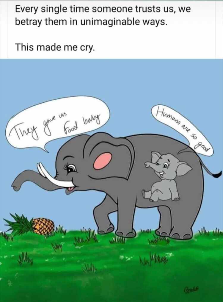 666jeeva's tweet image. I am sorry for being a Malayaleee