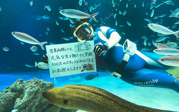 enjoy_tokyo's tweet photo. 思う存分おでかけできる日々が戻るよう願いを込めて。
商業施設、アミューズメント施設のみなさんから届いたメッセージをご紹介します！✨

おでかけ施設 応援企画「Cheerup！PROJECT」
https://t.co/zJeZuvfhLu

#cupj
#コロナに負けるな https://t.co/8d08tGt2pK