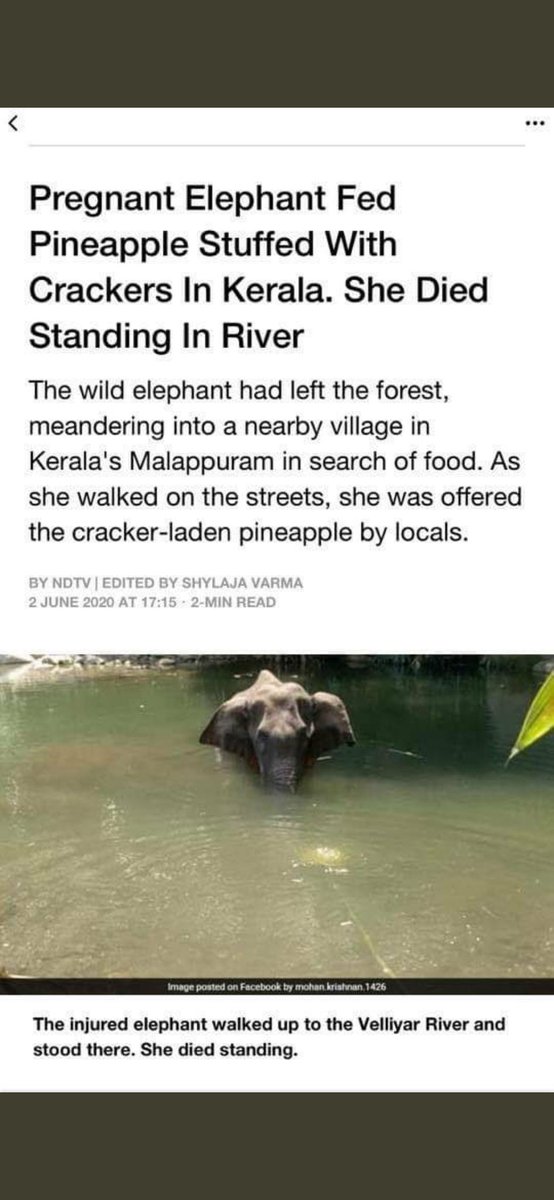 wrekingod's tweet photo. What did a pregnant elephant standing in the river could possibly do to anyone n above all what did she do to be killed by such cruelty  #AnimalCruelty https://t.co/Q9J1mvRNzd