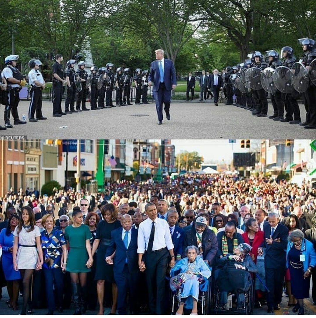 TreeFlower's tweet image. 