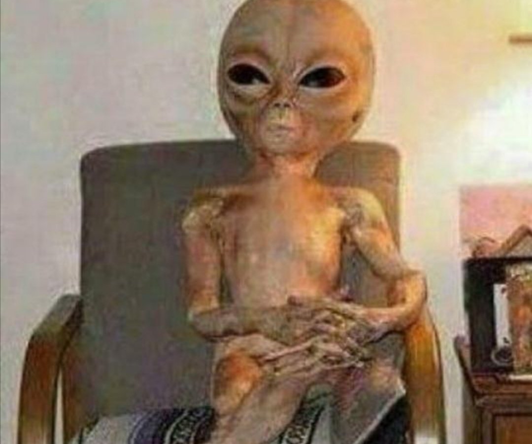 andreadelmar_'s tweet photo. Los aliens del Area 51 esperando a que Anonymous los presente

#Area51 #Anonymuos https://t.co/8QPHXCssE0