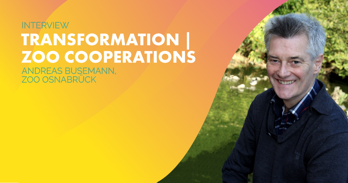 Medienpartnerschaften, Kooperationen mit Weinhändlern, Tierfachmärkten und sogar Bratwurstherstellern: Andreas Busemann vom #Zoo Osnabrück setzt in Krisenzeiten auf ein starkes Netzwerk. Wie er die #Corona-Krise meistert, erfahrt ihr in der aktuellen News. bit.ly/36TRfj0