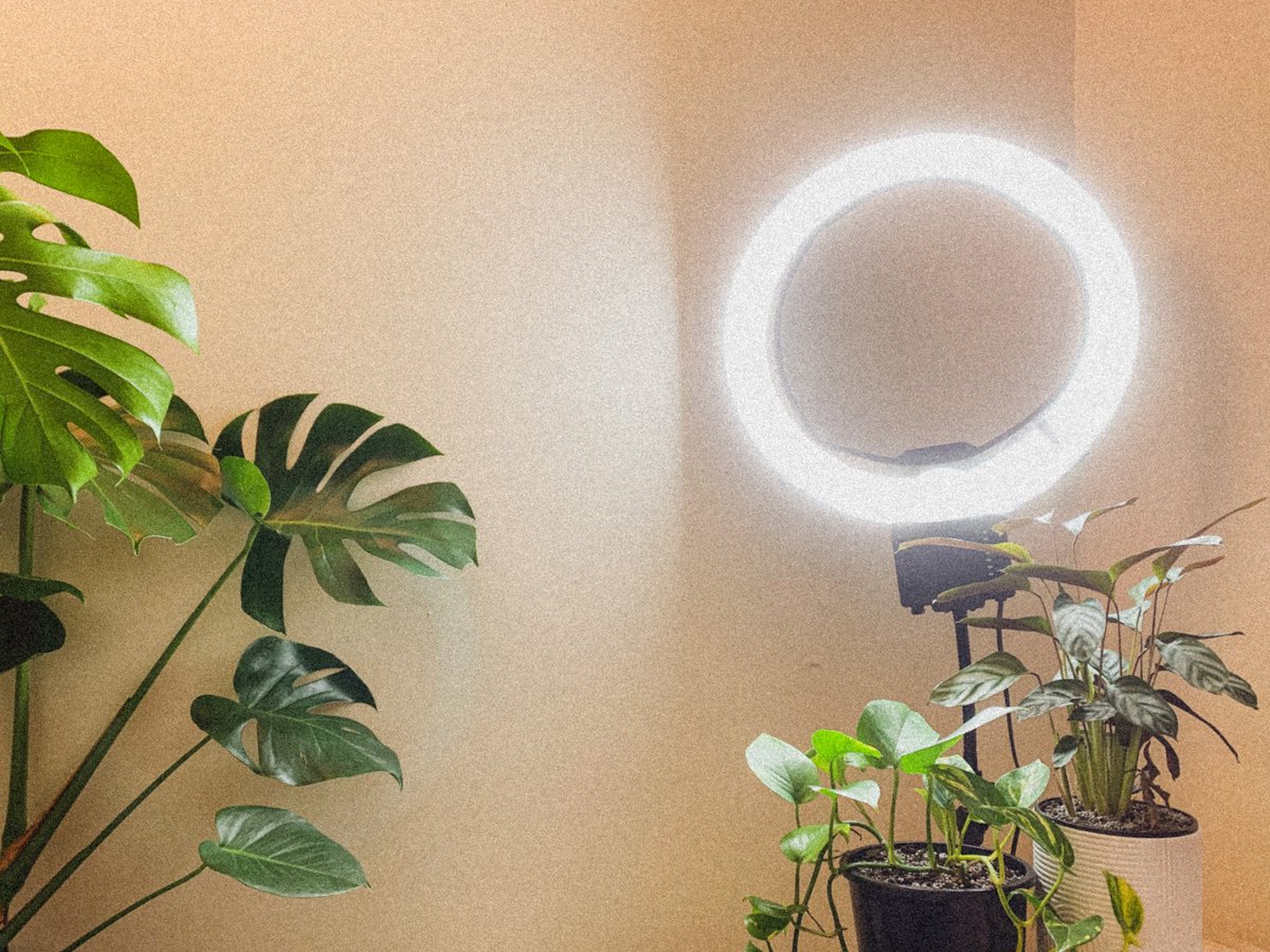 keraoregan's tweet image. How’d I buy a whole ring light to produce all this high quality content I had planned, but make nothing all lockdown and end up only using it as an oversized desk lamp? SMH

#ActivistProblems