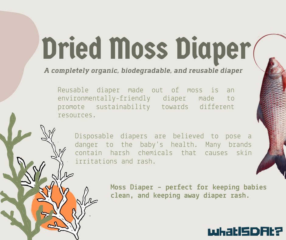 AdDU_AGREES's tweet photo. The great ocean adventure continues!
Let's take you on a treasure hunt tour at our organic, biodegradable, and reusable Dried Moss Diaper.
Moss deserves a good reputation. Maybe, itβs time for moss diapers to make a comeback!
The Pirate Chronicles: Dried Moss Diaper
#whatISDAt https://t.co/lxoU8DH5X7