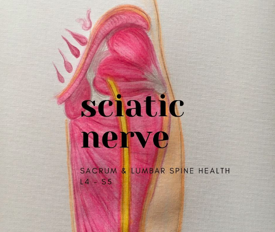 advancedmyo's tweet image. Stretching, heat (wheat packs) and Myotherapy are among a few of the fantastic ways we recommend to support the recovery of Sciatica.

#sciaticamyotherapy #sciaticasolutions #sciaticarehab #lowerbackpainrecovery #melbournesciaticatreatment 

advanced-myotherapy.com/can-myotherapy…
