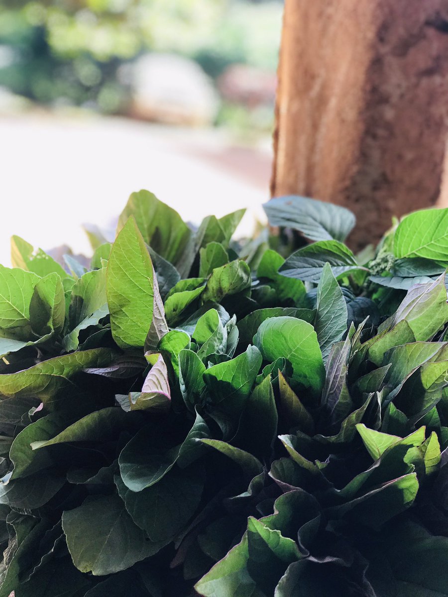 Kiso_fresh's tweet photo. Health is Wealth. Invest in your health by eating right & eating clean. #OrderKisoFresh & get it fresh! From the farm to you https://t.co/3lhI1iqpeP