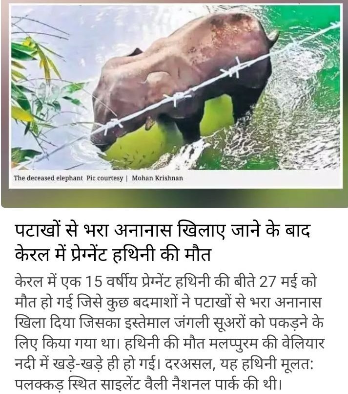 sndkewat's tweet photo. ये किस तरीके की ह्यूमैनिटी है, जितनी यह धरती इंसानो की है उतनी ही अन्य जीवो की।
इन दरिंदो को सजा मिलनी ही चाहिए.... https://t.co/xEHM9DP7cQ