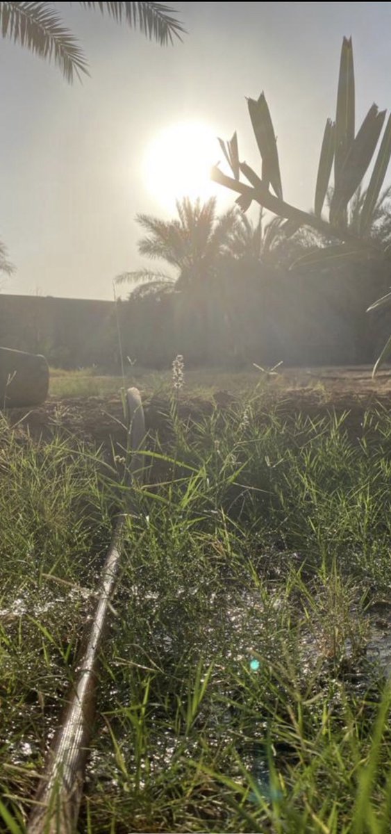 semfoneh's tweet photo. إن لم يكن بإمكانك الذهاب لمكان ما عُد إلى نفسك، تحرك في ممرات ذاتك إنها تبدو كمسارات النور .
#صباح_الخير https://t.co/YecUf2eg99