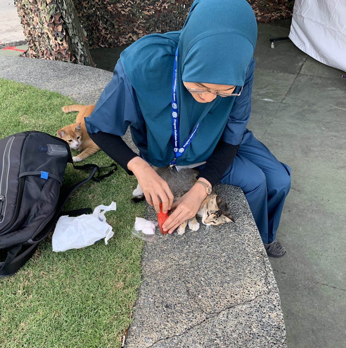 dRazhashim's tweet photo. Ada yang tercedera kena kawat. Tengok Oyen, busy body sungguh. Bukan dia yg kena pun. https://t.co/F559irox3m
