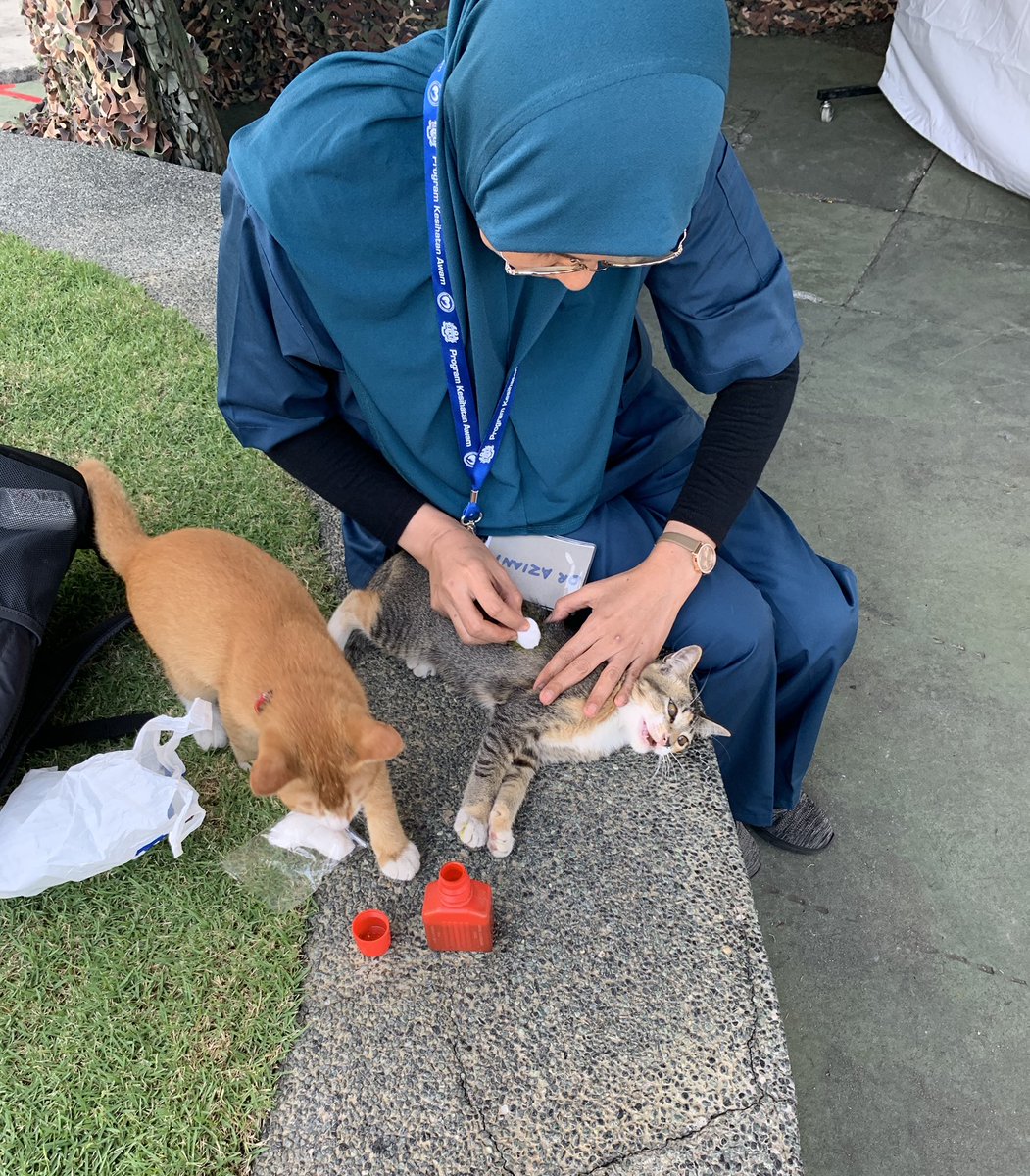 dRazhashim's tweet photo. Ada yang tercedera kena kawat. Tengok Oyen, busy body sungguh. Bukan dia yg kena pun. https://t.co/F559irox3m