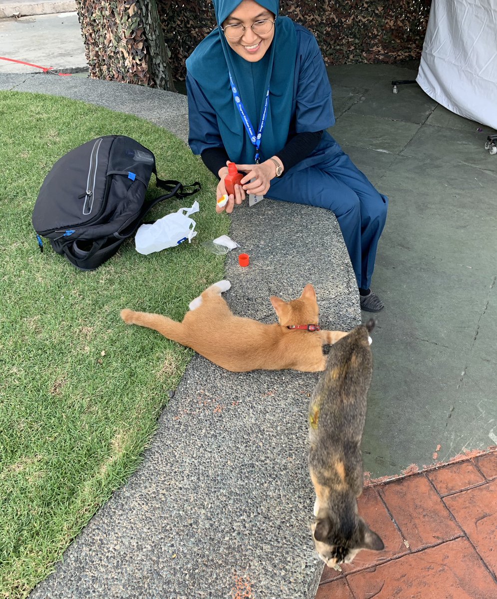 dRazhashim's tweet photo. Ada yang tercedera kena kawat. Tengok Oyen, busy body sungguh. Bukan dia yg kena pun. https://t.co/F559irox3m