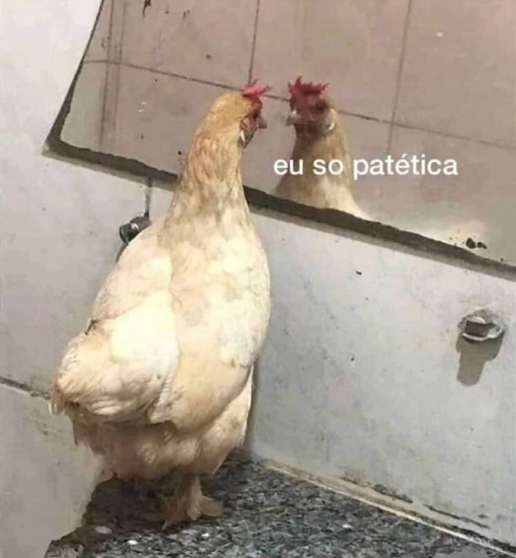 Alinythayane_97's tweet photo. Eu acompanhando os dados dos cartões vazando no tt , mas tendo medo do processo e de ir pra cadeia e comerem meu c* lá https://t.co/jPll9NzT0t