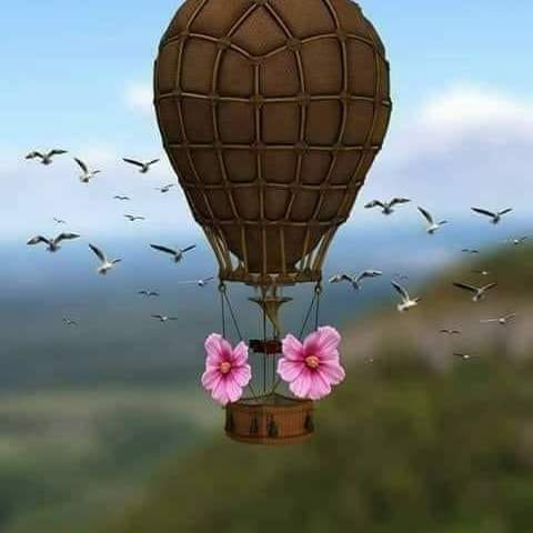 kharedani's tweet photo. صباح الجمال https://t.co/kF34h1QXdi