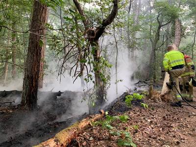Bosbrand nabij tussen Vught en Helvoirt onder controle..