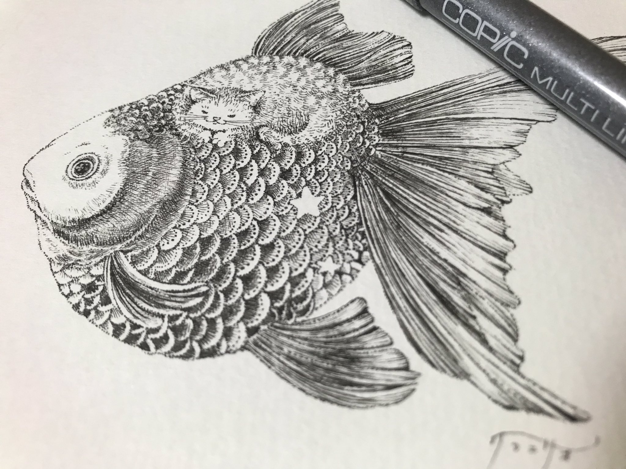 クラミサヨ イラストレーター ペン画 きんぎょとねこ アナログイラスト 金魚とネコ モノクロ T Co Bno4ybz5xq Twitter