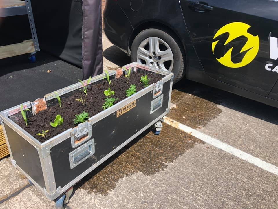 virental's tweet image. Mini market garden for the new pop up COVID work spaces. Sweet corn, little gem lettuce, baby plum tomatoes and French marigold ( companion planting ) healthy eating at VI