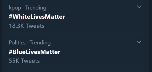 MONIfaBTS's tweet photo. #WhiteLivesMatter trending under K-Pop. 
I LOVE THIS SONG.
Now trash the other # too. https://t.co/m5hB4dffyq