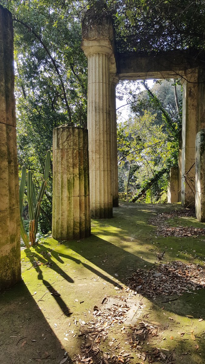 esternuzzo's tweet image. Ieri ha riaperto questa meraviglia. 
È mancata. Tanto.
@reggiadicaserta