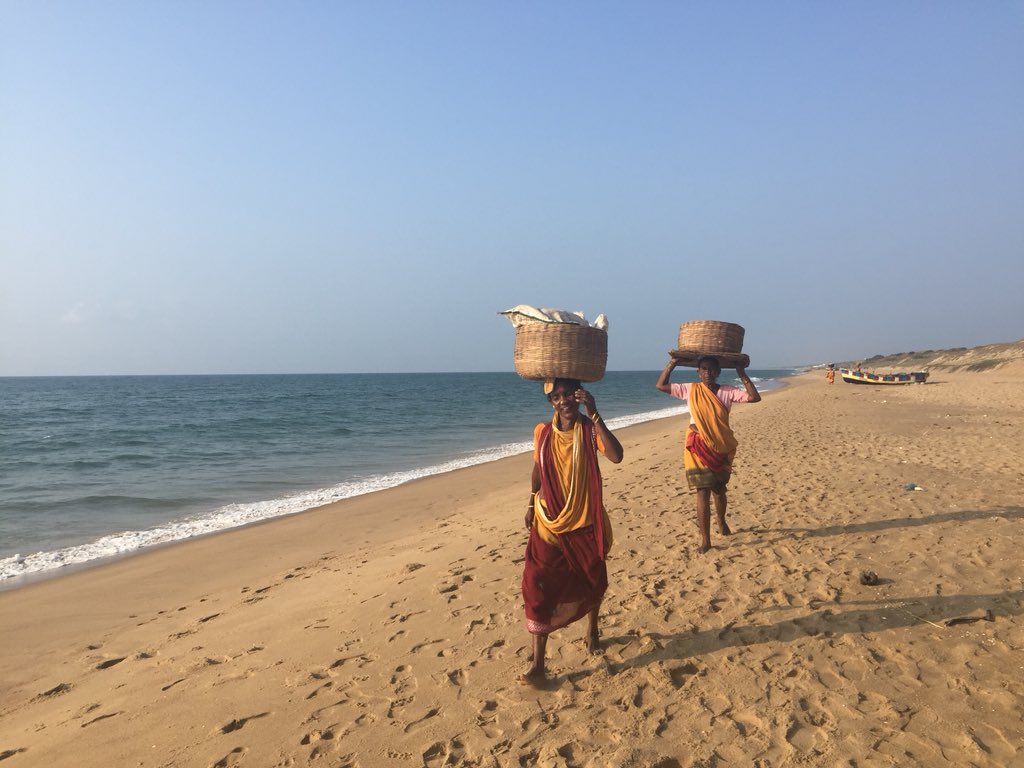 VisitGopalpur's tweet photo. It’s time for some 🎣 🐟 #Gopalpur #beach #fisherwomen #tourism #travel #OdishaByRoad #OdishaTourism @odisha_tourism @incredibleindia https://t.co/93QSF46UWf