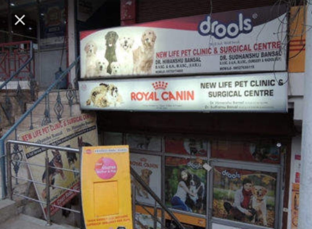dog clinic in indirapuram