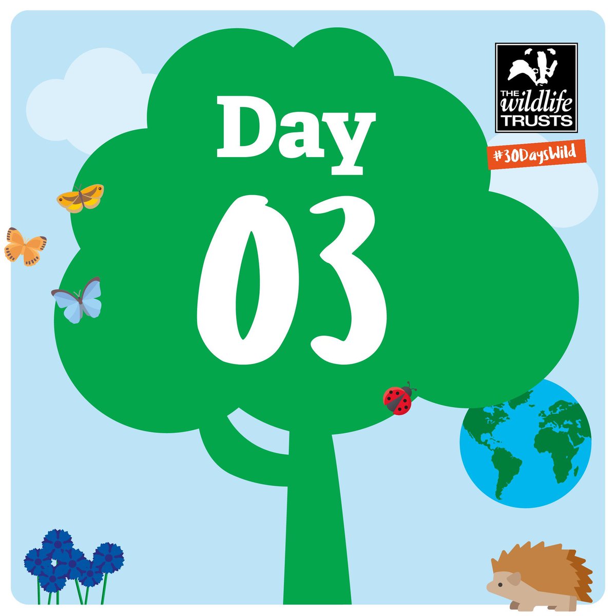 Random Act of Wildness #3 👉 Feed the birds in your garden!🐦 Our guide will help wtru.st/2yaJXXY #30DaysWild