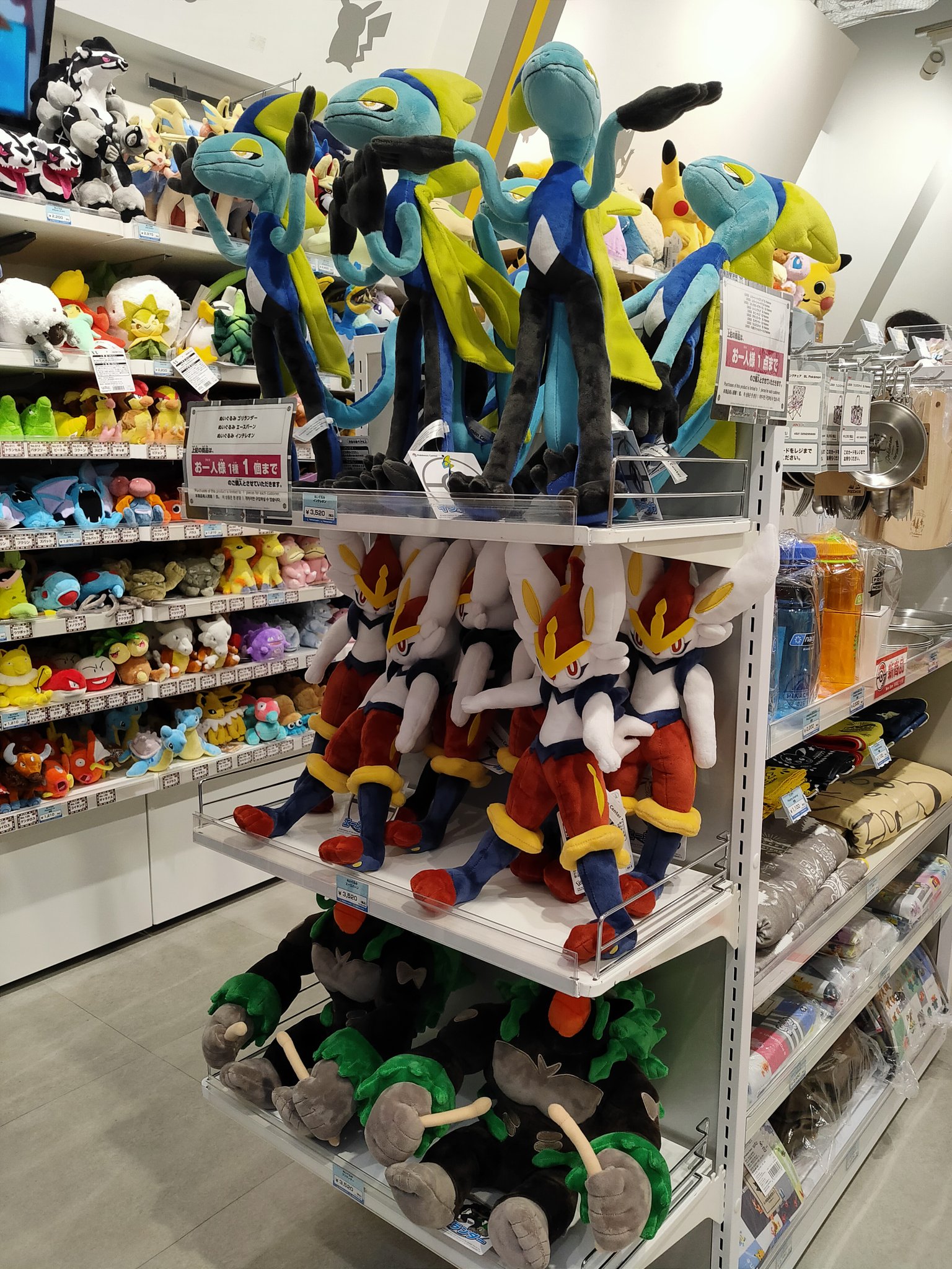 中部国際空港セントレア セントレア4階のポケモンストアも営業再開してます コダックはノーてんきがカワイイですね T Co Don9ydhamb T Co Ojojmzstvc Twitter
