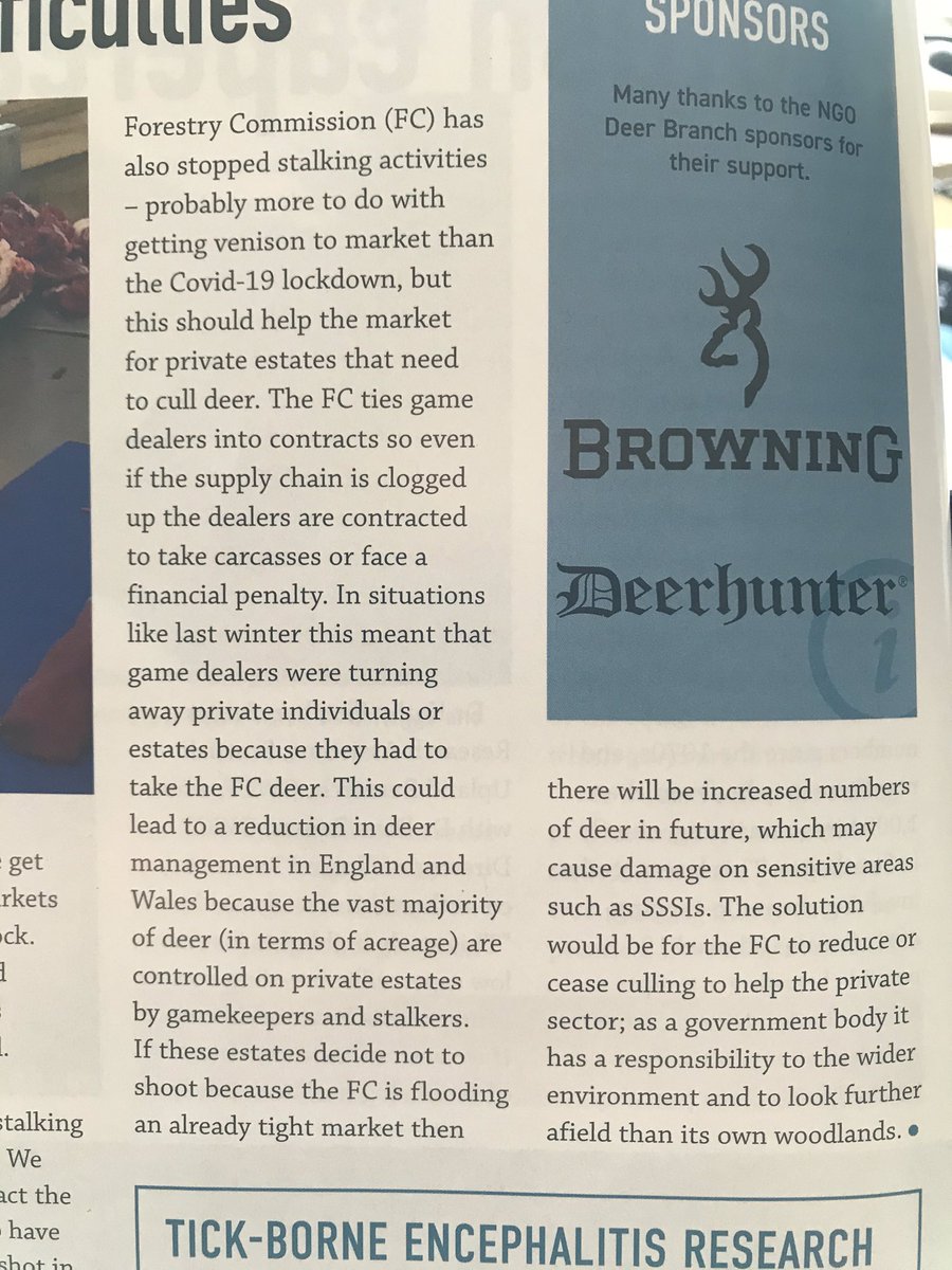 tonylowry123's tweet photo. Great article in the NGO magazine, should the FC reduce its culling? @BASCnews @BritishDeerSoc @AlastairDeerEng @WoollyMaggot @DavidDeerEng @NationalGamekee https://t.co/hdpPjp4fbX