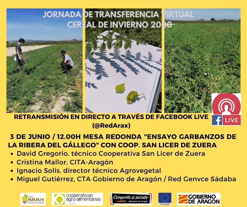 red_arax's tweet photo. 🌾Cuarta y última retransmisión en directo de las Jornadas #VirtualesArax. La temática será el ensayo de #garbanzos de @coopdezuera. Y como novedad, se podrá seguir también a través del enlace de la sala virtual de #ComparteElSecreto de @aragonalimentos
https://t.co/lmftZ7497z https://t.co/r2L0yPb5ml