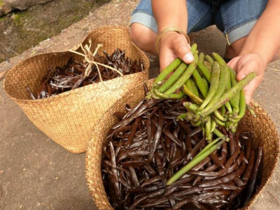 Le Tableau de Bord Economique n° 39 de mars 2020 est actuellement disponible sur le site web de l'INSTAT à partir du lien suivant : instat.mg/wp-content/upl…