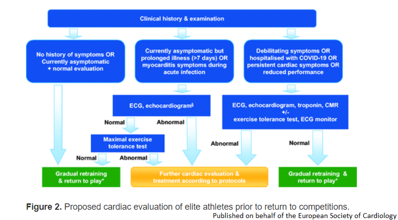 escardio's tweet photo. Exercise in the Severe Acute Respiratory Syndrome Coronavirus-2 (SARS-CoV-2) era: A Q&amp;A session w/ the experts Endorsed by the section of Sports Cardiology &amp; Exercise of the #EAPC_ESC https://t.co/guBqhXpjtn

#COVID19 #sportscardiology #prevention #cardiotwitter #cvprev https://t.co/PJD2NTOfdd