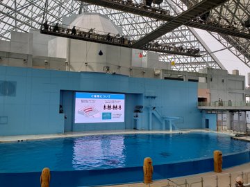 八景島シーパラダイスの混雑状況 平日は空いている 冬休み 春休みは まみブロ